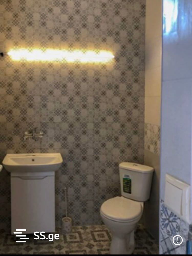 2 Room Summer Cottage Daily Rent. Bazaleti view 6