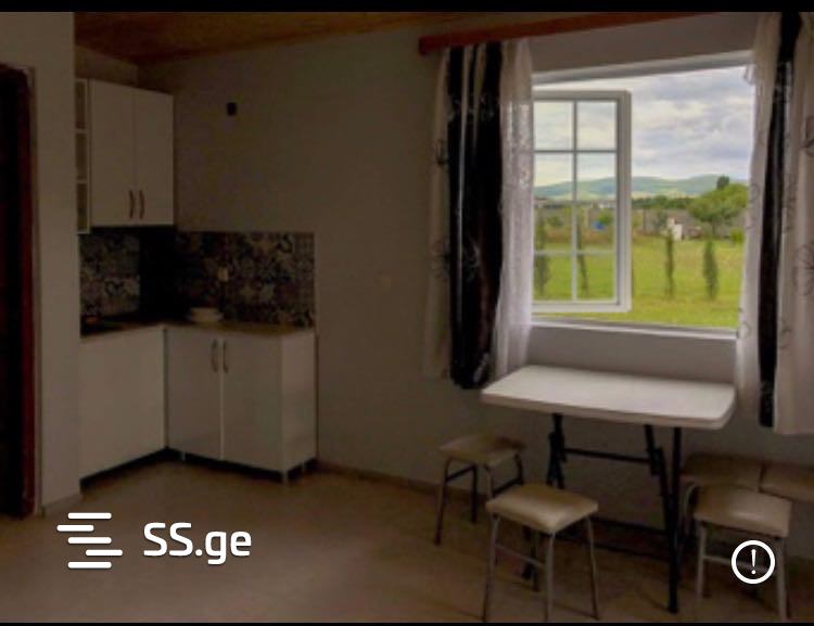 2 Room Summer Cottage Daily Rent. Bazaleti view 7