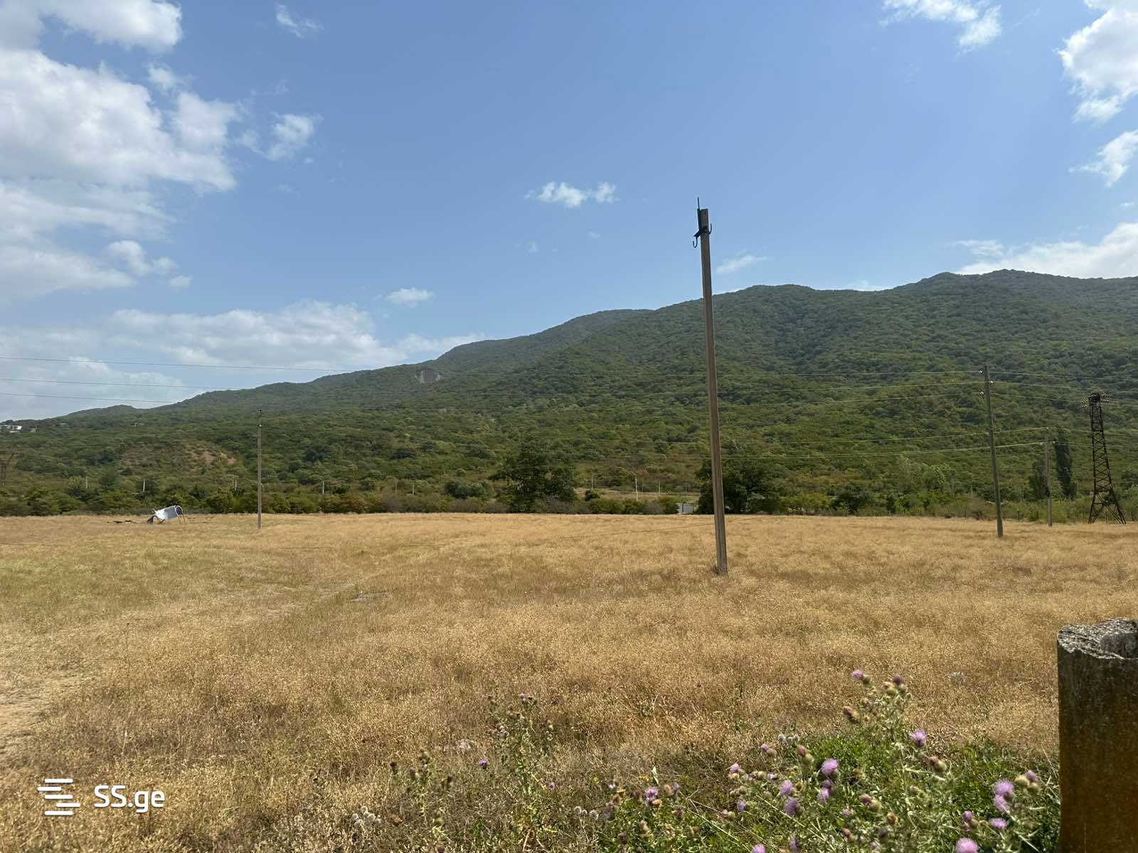 Land For Sale. Saguramo view 4