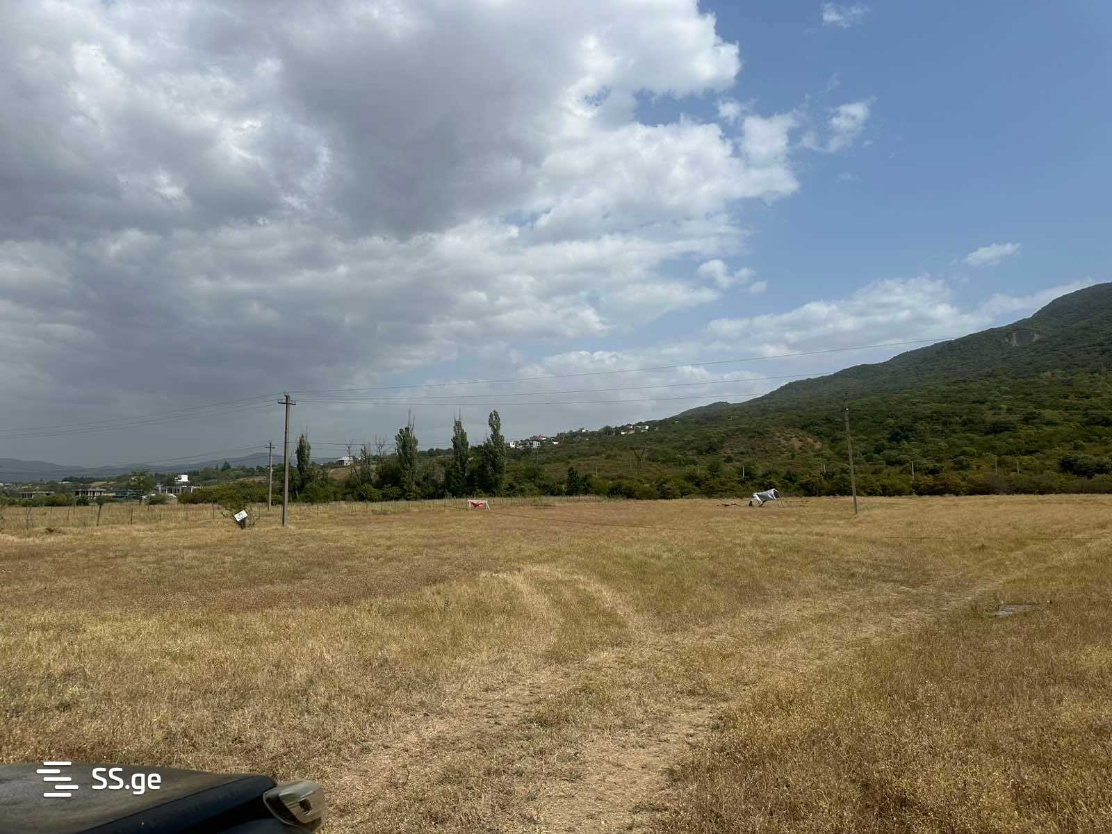 Land For Sale. Saguramo view 3