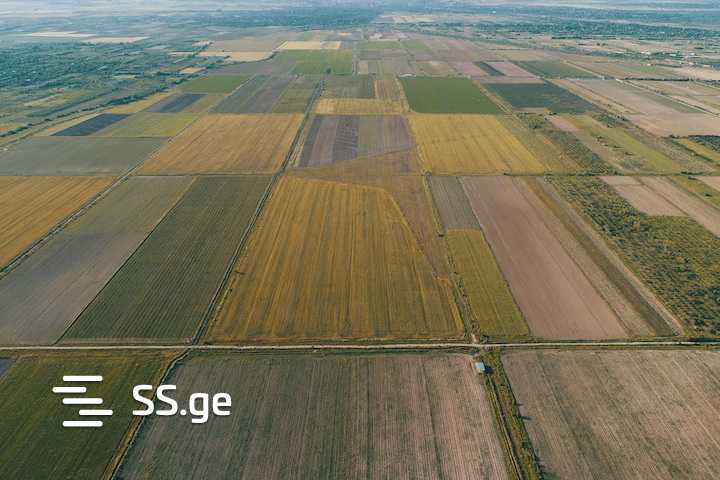 Land For Sale. Tserovani view 9