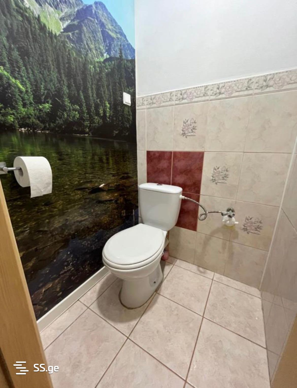 1 Room Flat Daily Rent. Kutaisi view 6