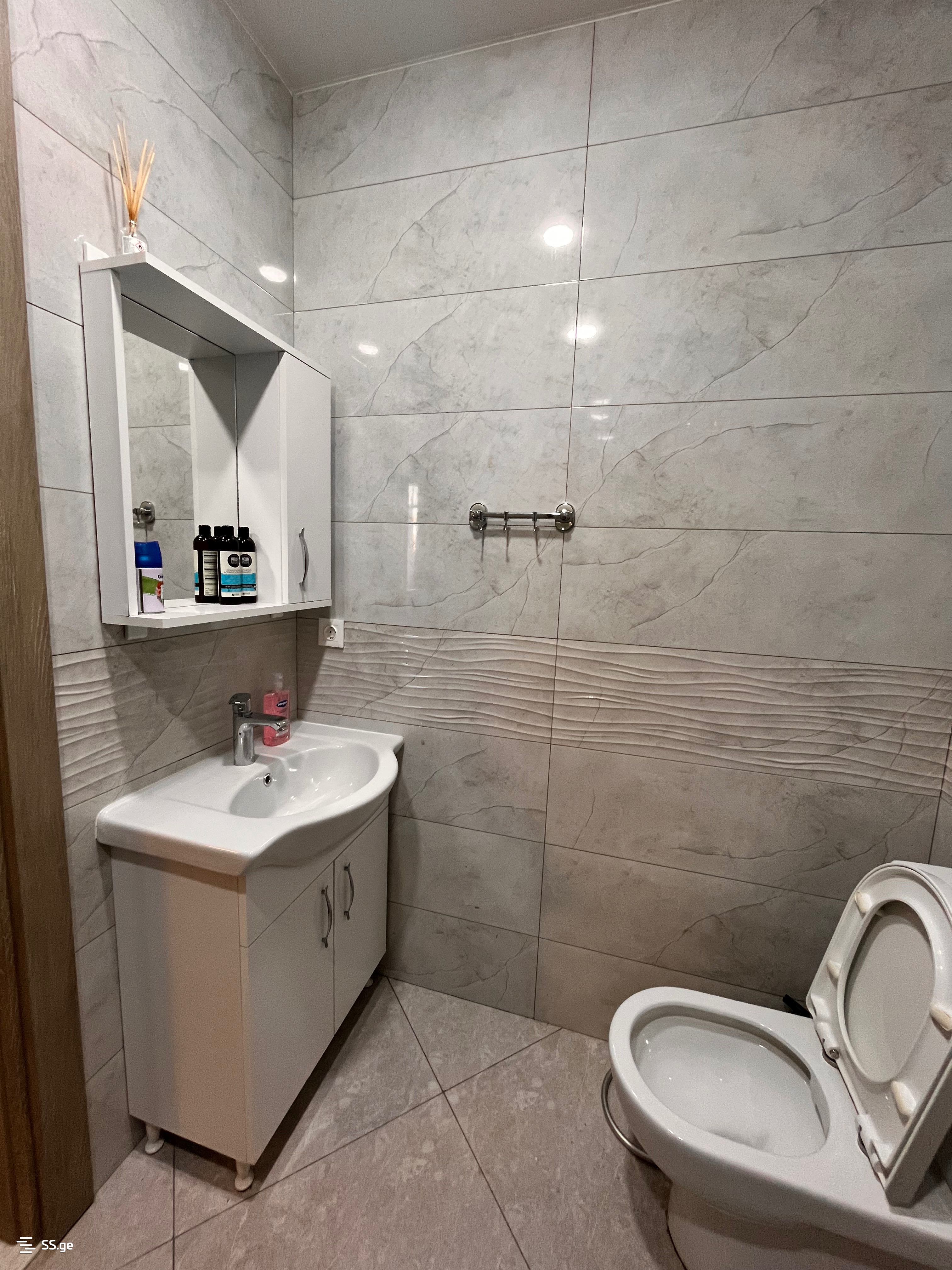 2 Room Flat Daily Rent. Mukhiani view 8