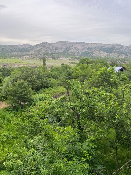 4 room Summer Cottage For Sale. Dzegvi