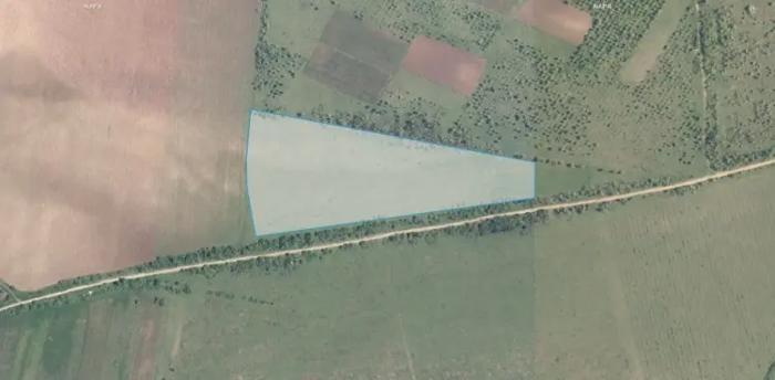 Land For Sale. Dusheti