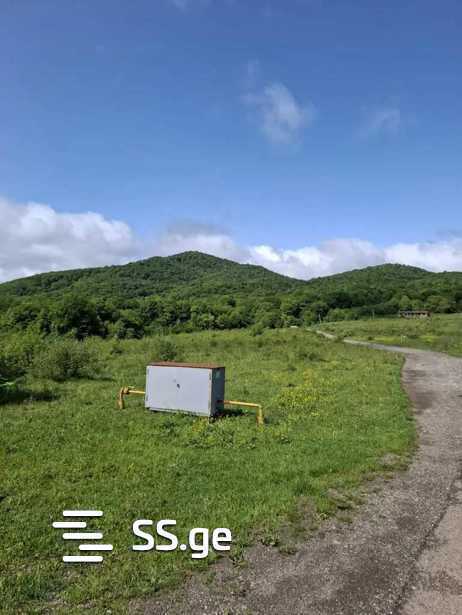 https://static.ss.ge/20250902/0_a501622a-ce43-4f52-9e2d-56df8390a20c_Thumb.jpg