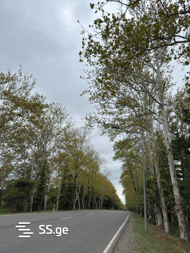Land For Sale. Kutaisi view 1