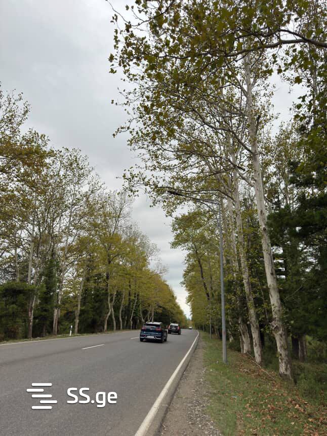 Land For Sale. Kutaisi view 3