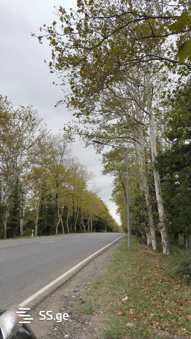 Land For Sale. Kutaisi view 2
