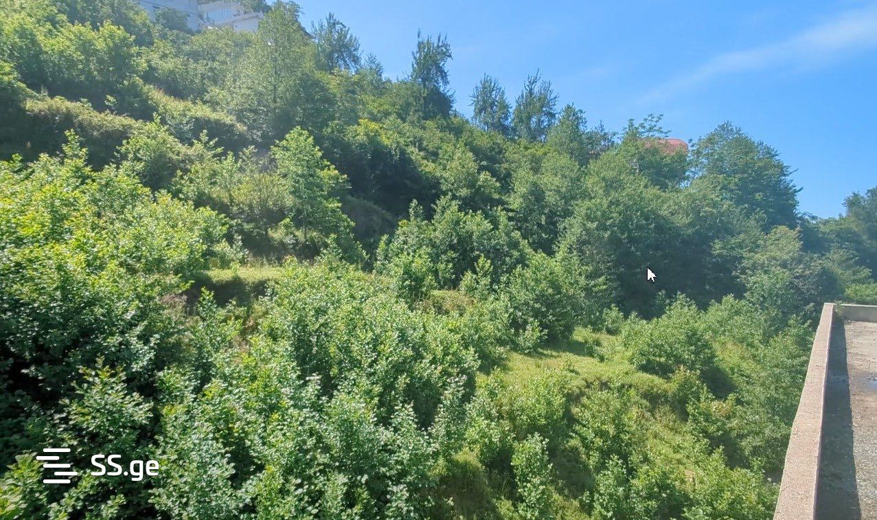 Land For Sale. Kvariati view 5