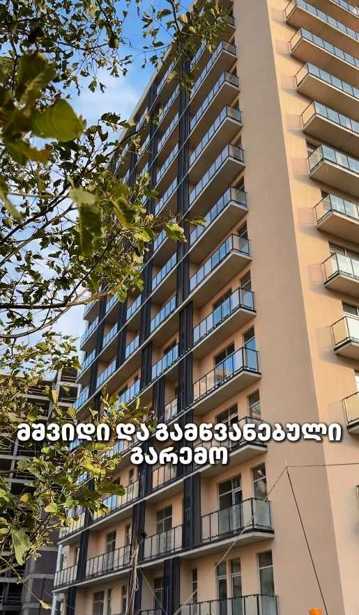 https://static.ss.ge/20250903/14_1b770861-d0d4-435c-821b-abaded7c5a34_Thumb.jpg