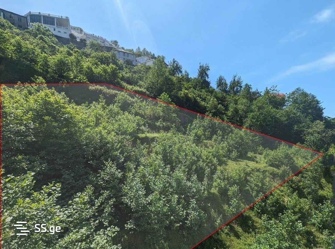 Land For Sale. Kvariati view 4