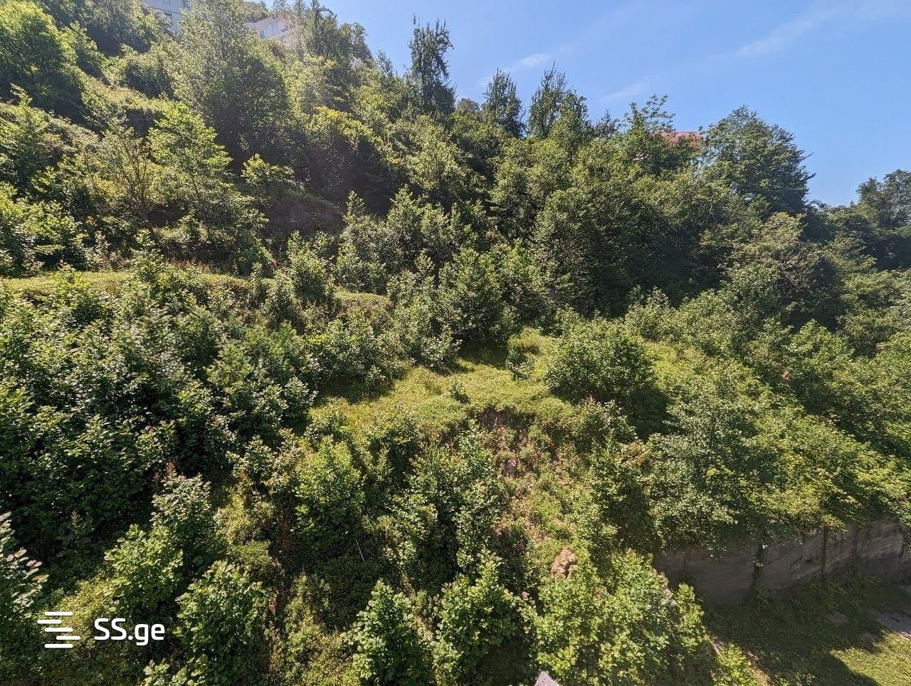 Land For Sale. Kvariati view 9