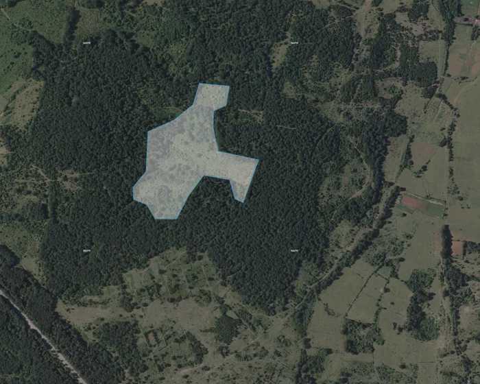 Land For Sale. Terjola