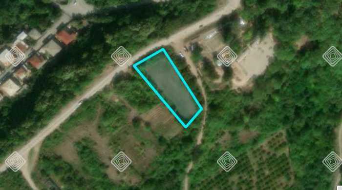 Land For Sale. Gurjaani