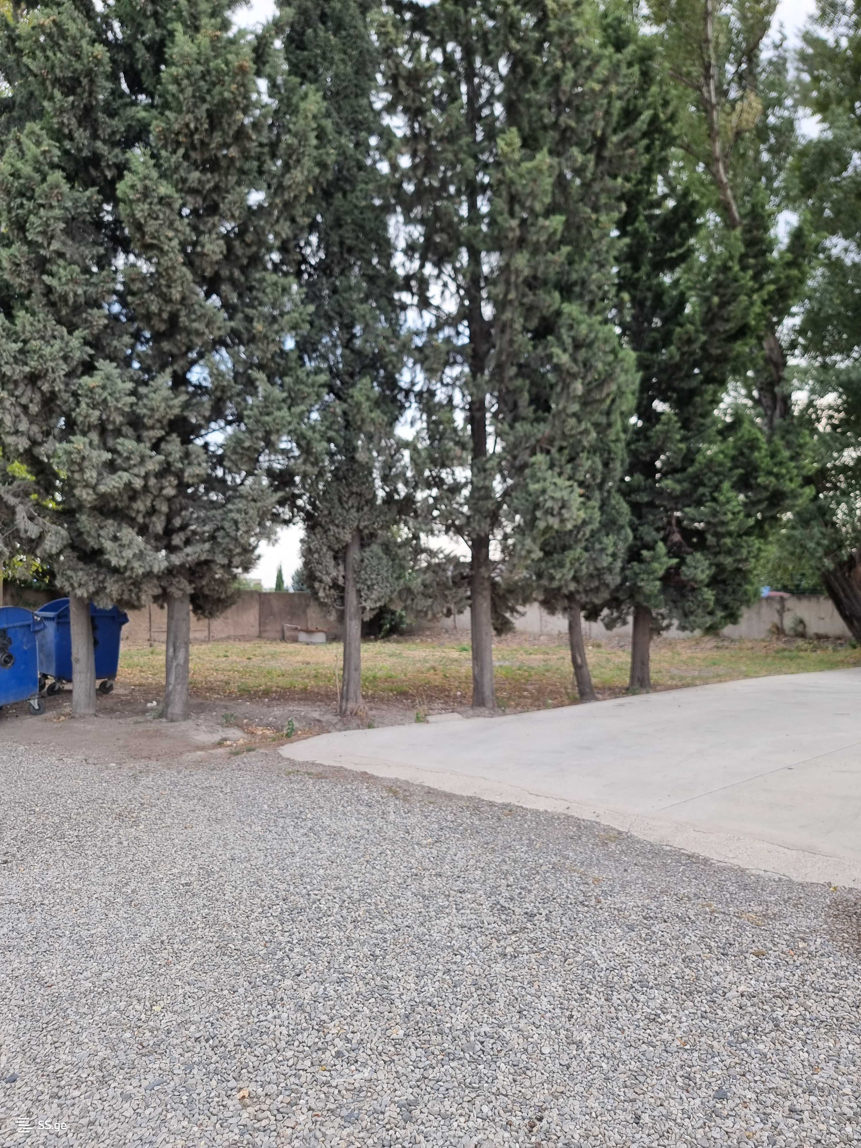 Land For Rent. Varketili, 4 of 6