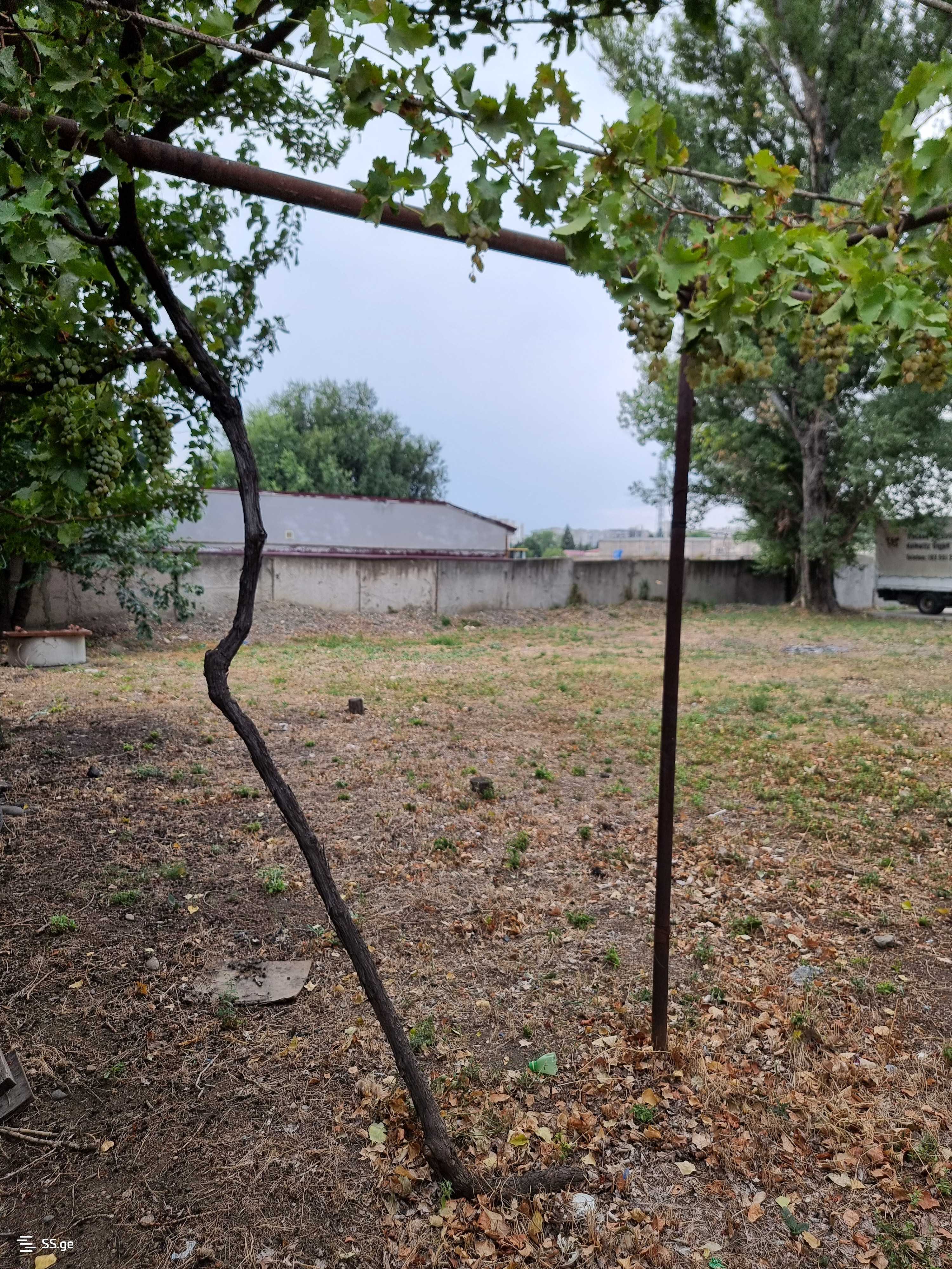 Land For Rent. Varketili, 3 of 4
