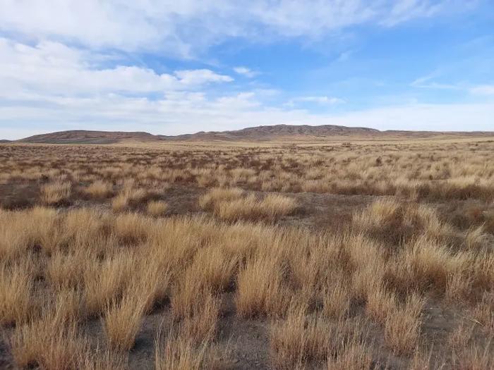 Land For Sale. Bodbiskhevi