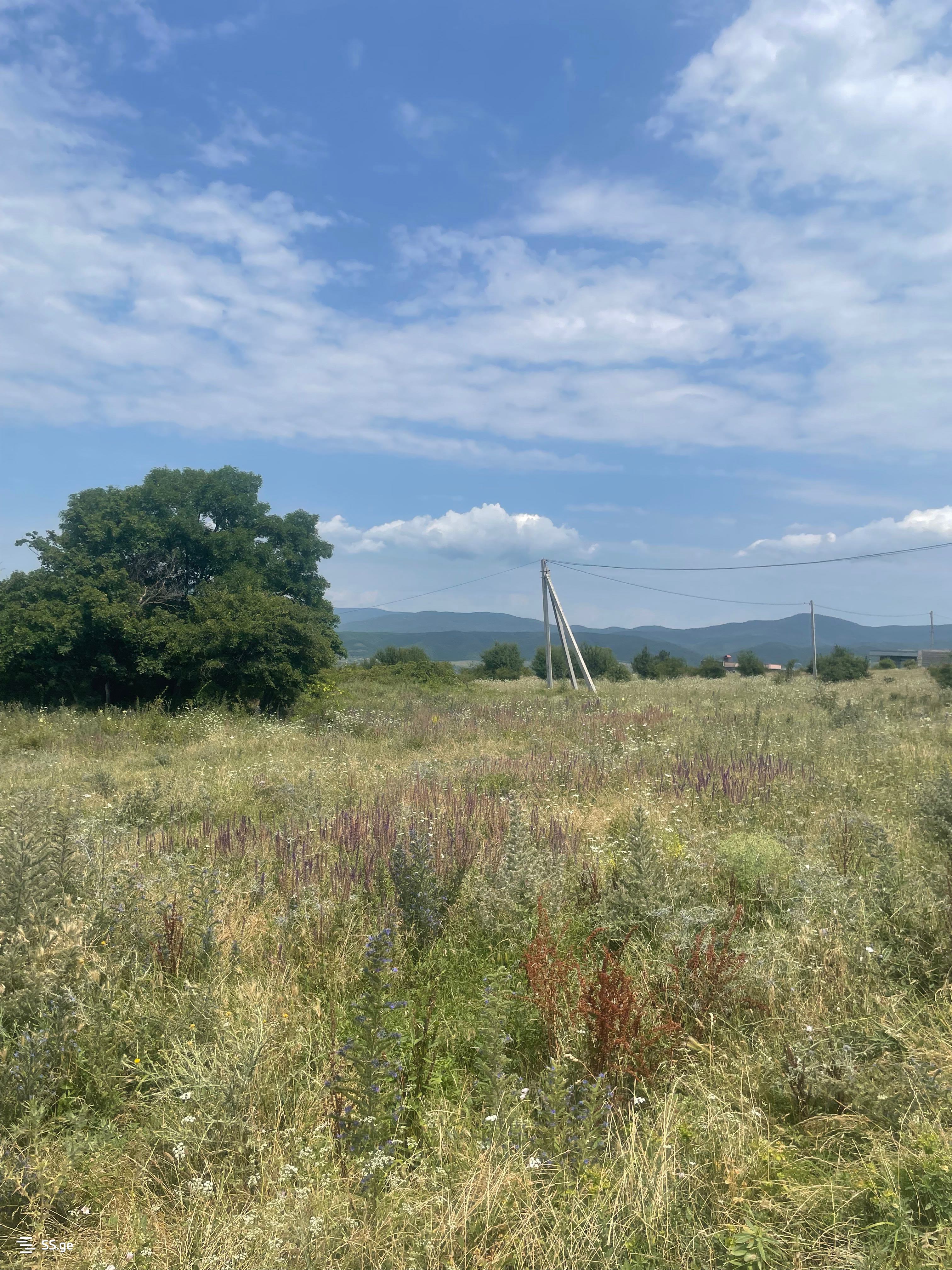 Land For Sale. Saguramo, 3 of 4