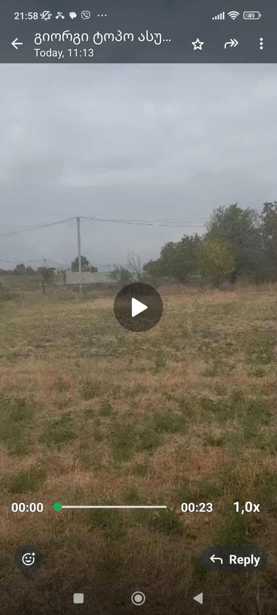 https://static.ss.ge/20250908/17_641689ab-b789-43f1-ac70-91aaf3659340_Thumb.jpg