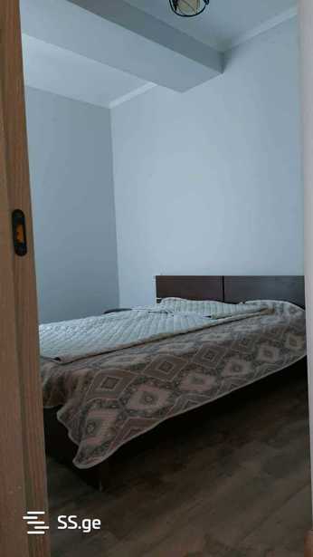 https://static.ss.ge/20250908/17_89610760-d380-4993-8f61-98c627dbfdd0_Thumb.jpg