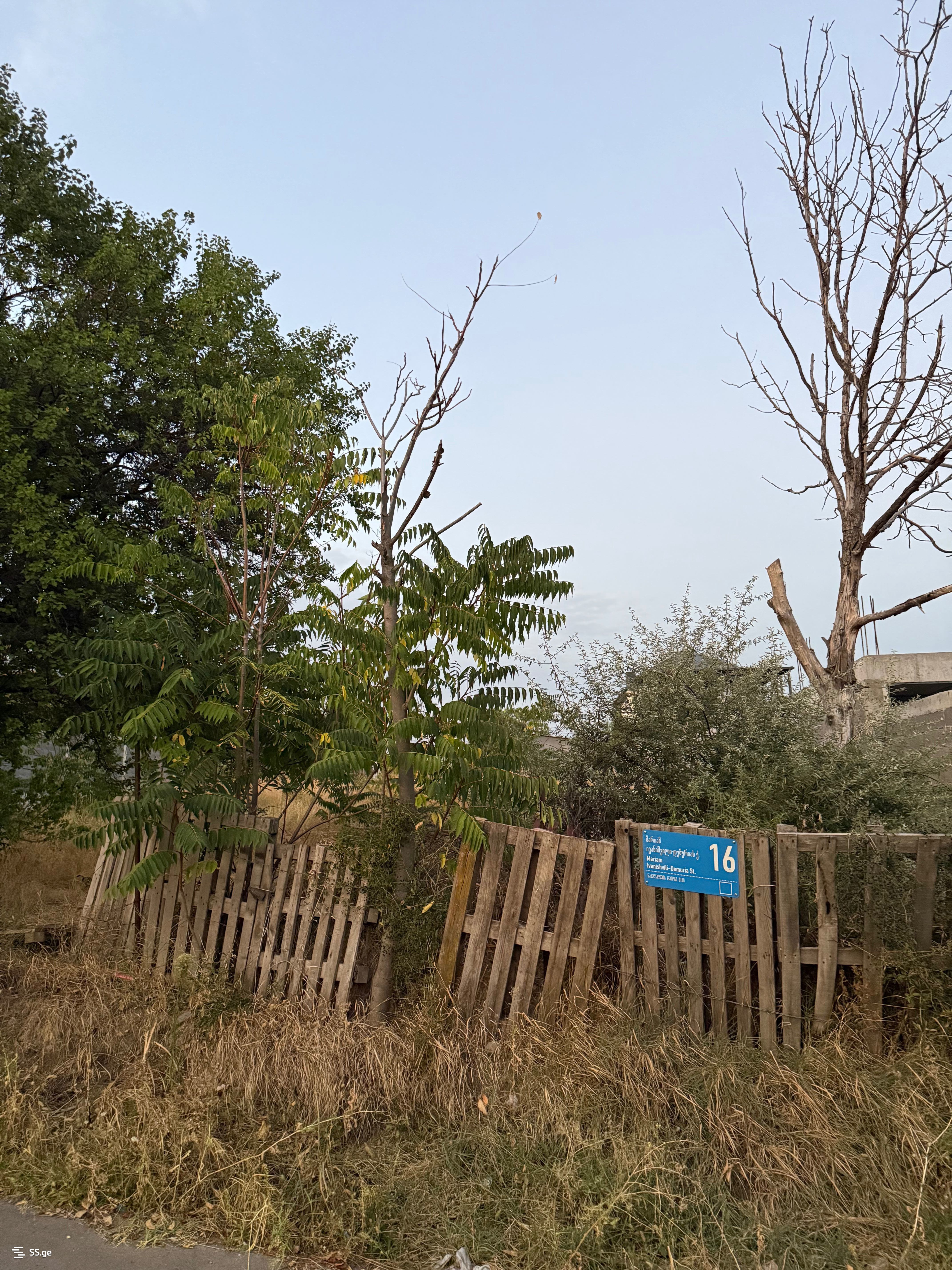 Land For Rent. Tbilisi Sea view 3