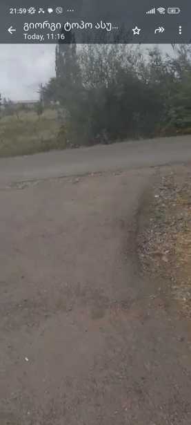 https://static.ss.ge/20250908/4_b517d8eb-ce4a-4ce8-ae7f-e9a7f2e4ed26_Thumb.jpg