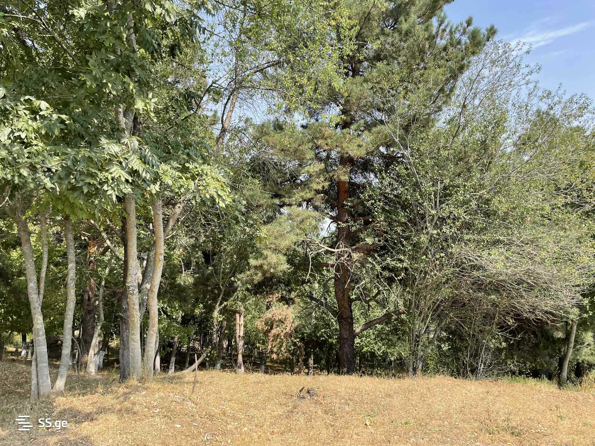Land For Sale. Kojori view 1