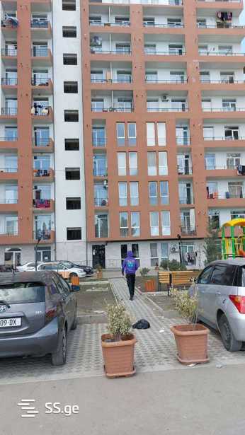 https://static.ss.ge/20250908/8_daaec36c-d555-4d90-af30-82f493b98fb5_Thumb.jpg
