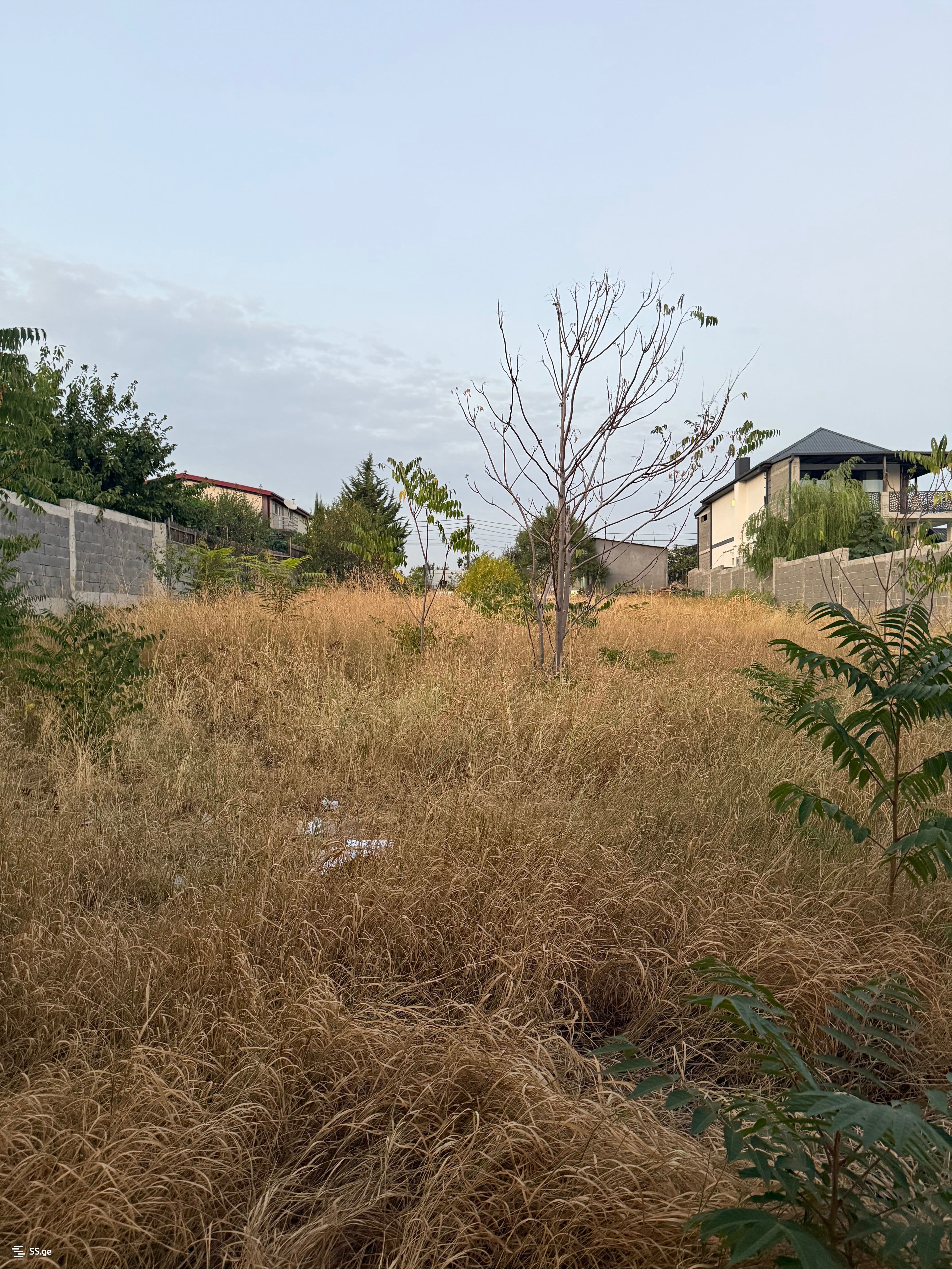 Land For Rent. Tbilisi Sea view 2