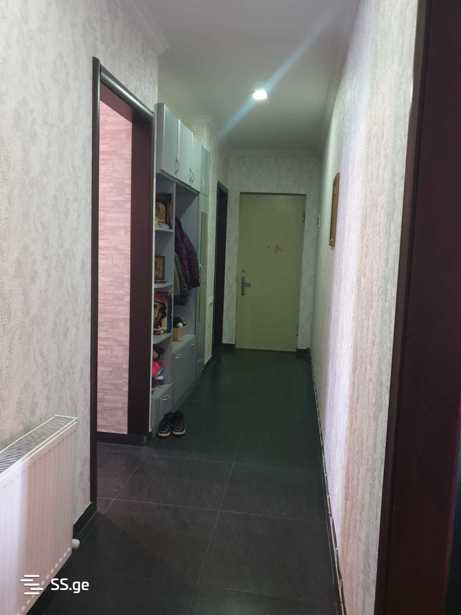 https://static.ss.ge/20250909/7_bf6652e6-9dea-42ad-a288-4fa51f429de7_Thumb.jpg