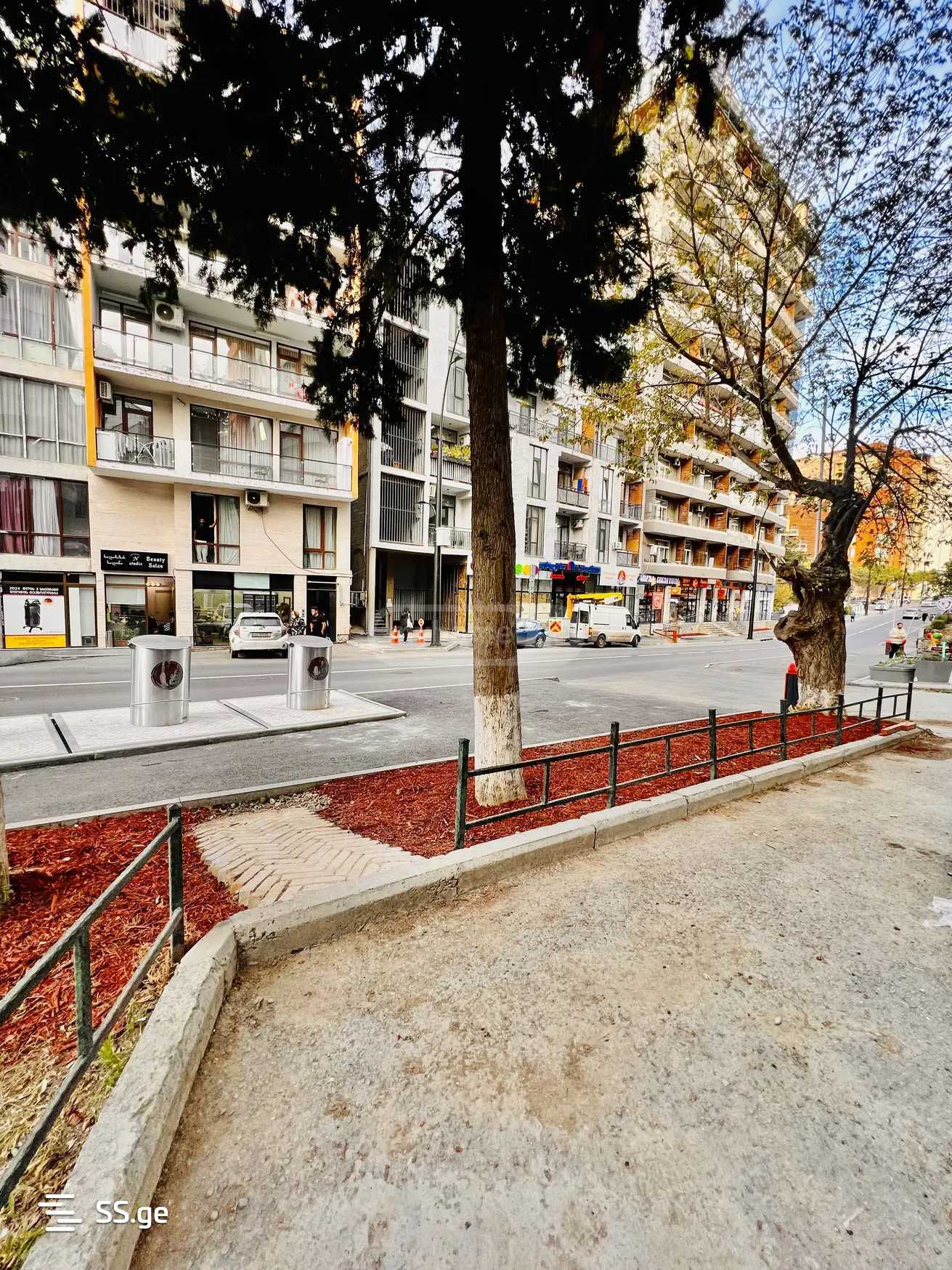 3 Room Flat Daily Rent. Vake, 4 of 4