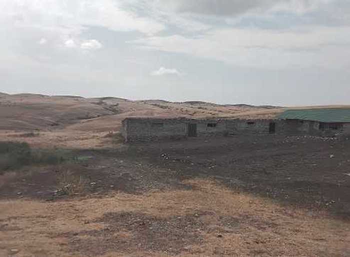 Land For Sale. Signagi