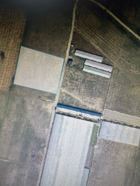 Land For Sale. Mukhrani