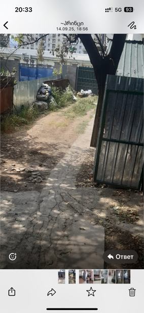 https://static.ss.ge/20250914/12_b7b861ce-1a71-44e2-bf3e-02709899ee06_Thumb.jpg