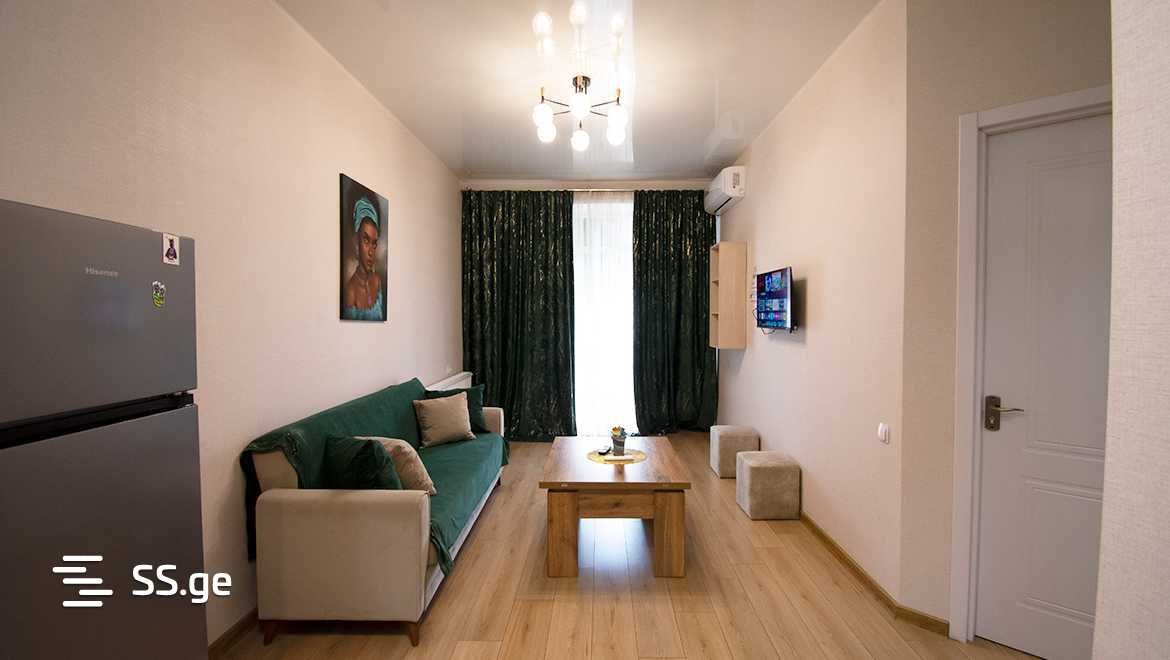 2 room Flat Daily rent. Mukhiani - Widok 6