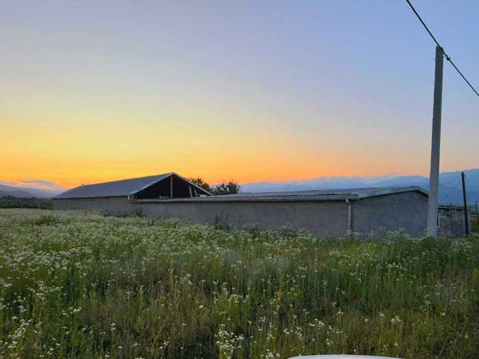 Commercial space For Sale. Telavi