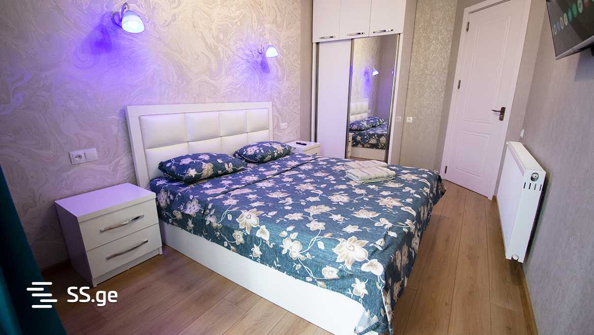 2 room Flat Daily rent. Mukhiani - Widok 3