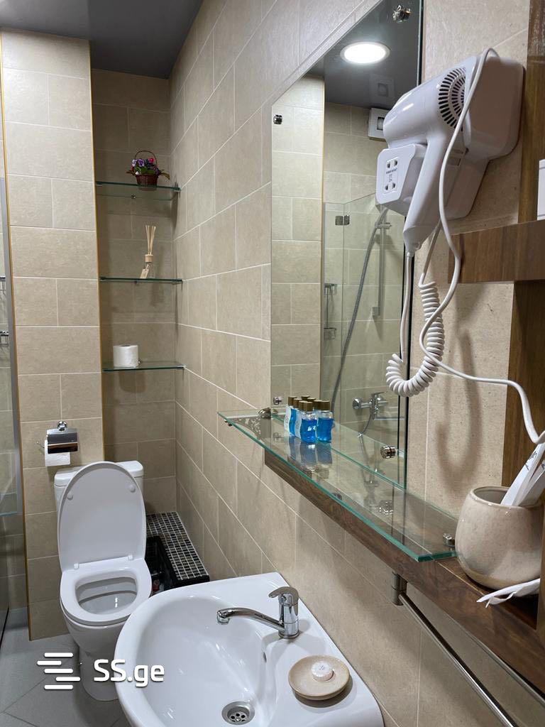 2 Room Flat Daily Rent. Mtatsminda view 6