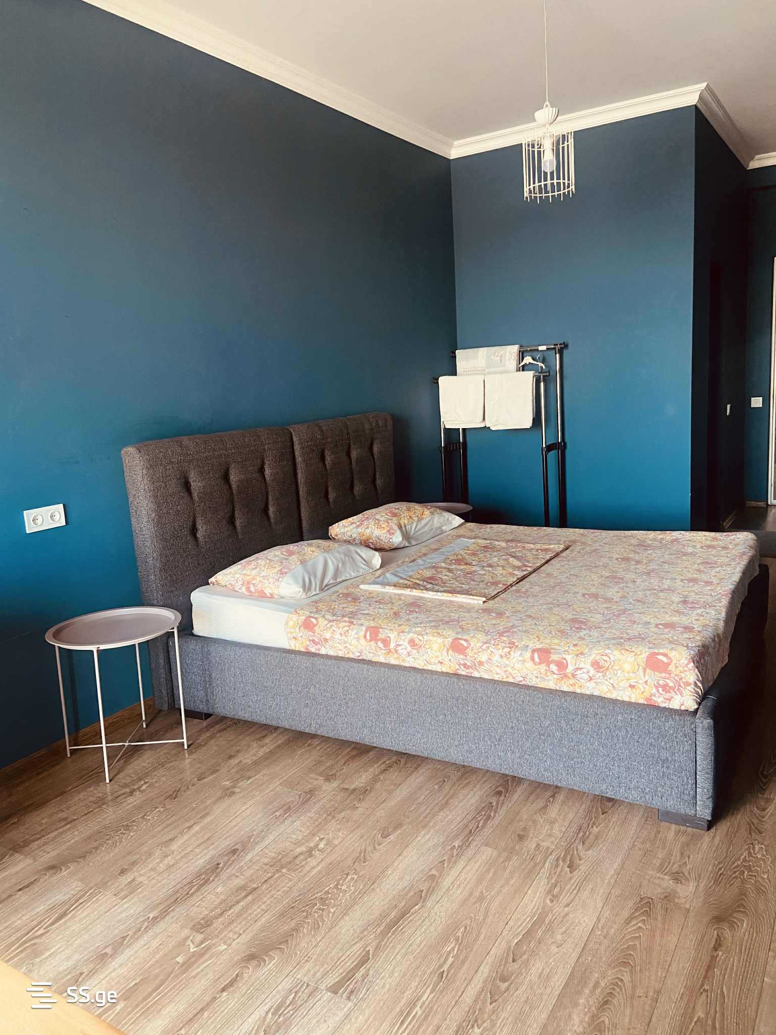 1 Room Flat Daily Rent. Kutaisi view 1