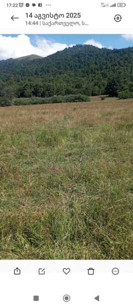 Land For Sale. Tsikhisjvari