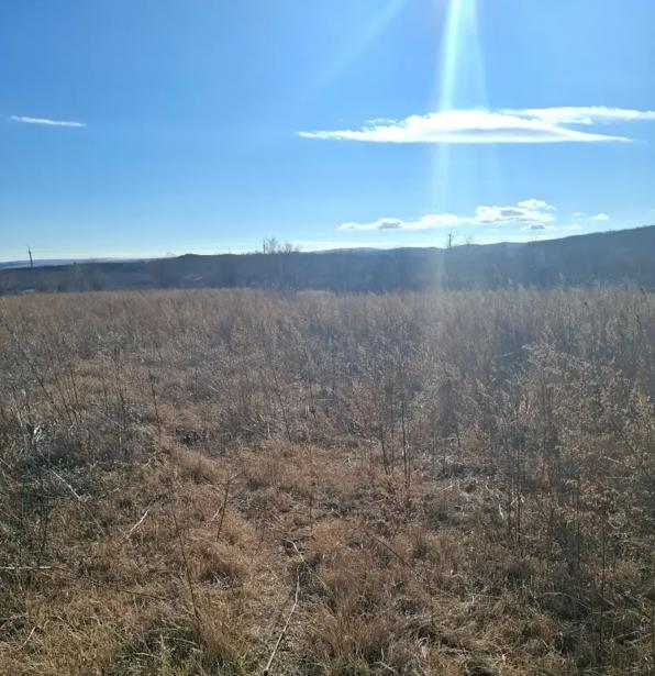 Land For Sale. Badiauri