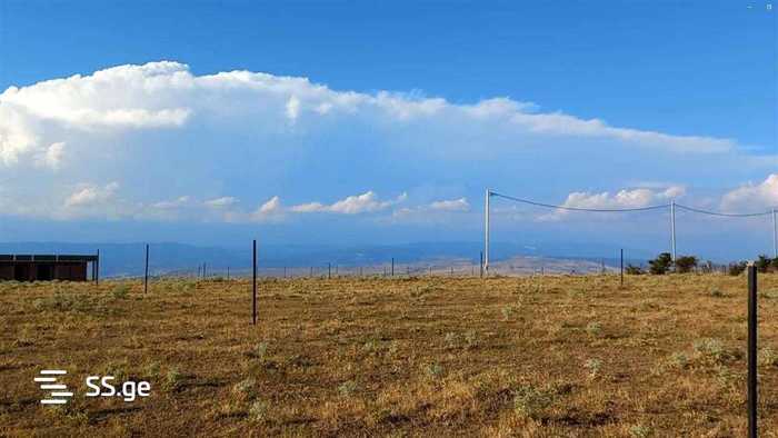 https://static.ss.ge/20250917/11_a96b261d-f726-4a56-8141-d894dc2f0a82_Thumb.jpg