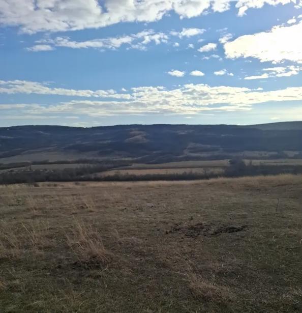 Land For Sale. Ujarma