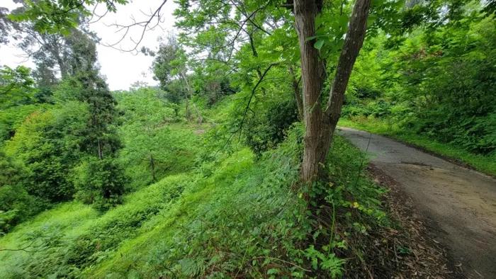 Land For Sale. Tsikhisdziri