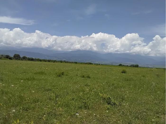 Land For Sale. Tsinandali