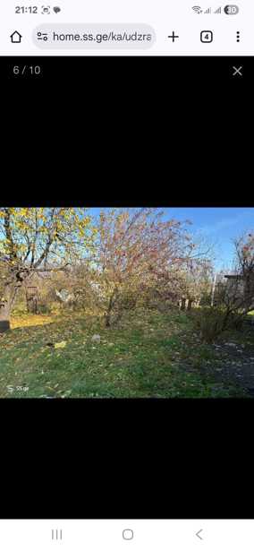 https://static.ss.ge/20250918/0_caadd083-f5c8-44a4-bcd5-efb38c97abff_Thumb.jpg