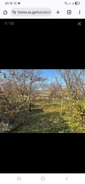 https://static.ss.ge/20250918/14_c781b0a1-bc6b-449b-9f8b-9737fcadbbcc_Thumb.jpg