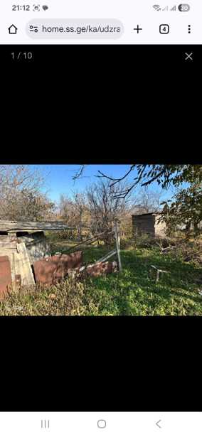 https://static.ss.ge/20250918/14_de1adf52-48ae-4fd6-b8fe-9e2de7ebe266_Thumb.jpg