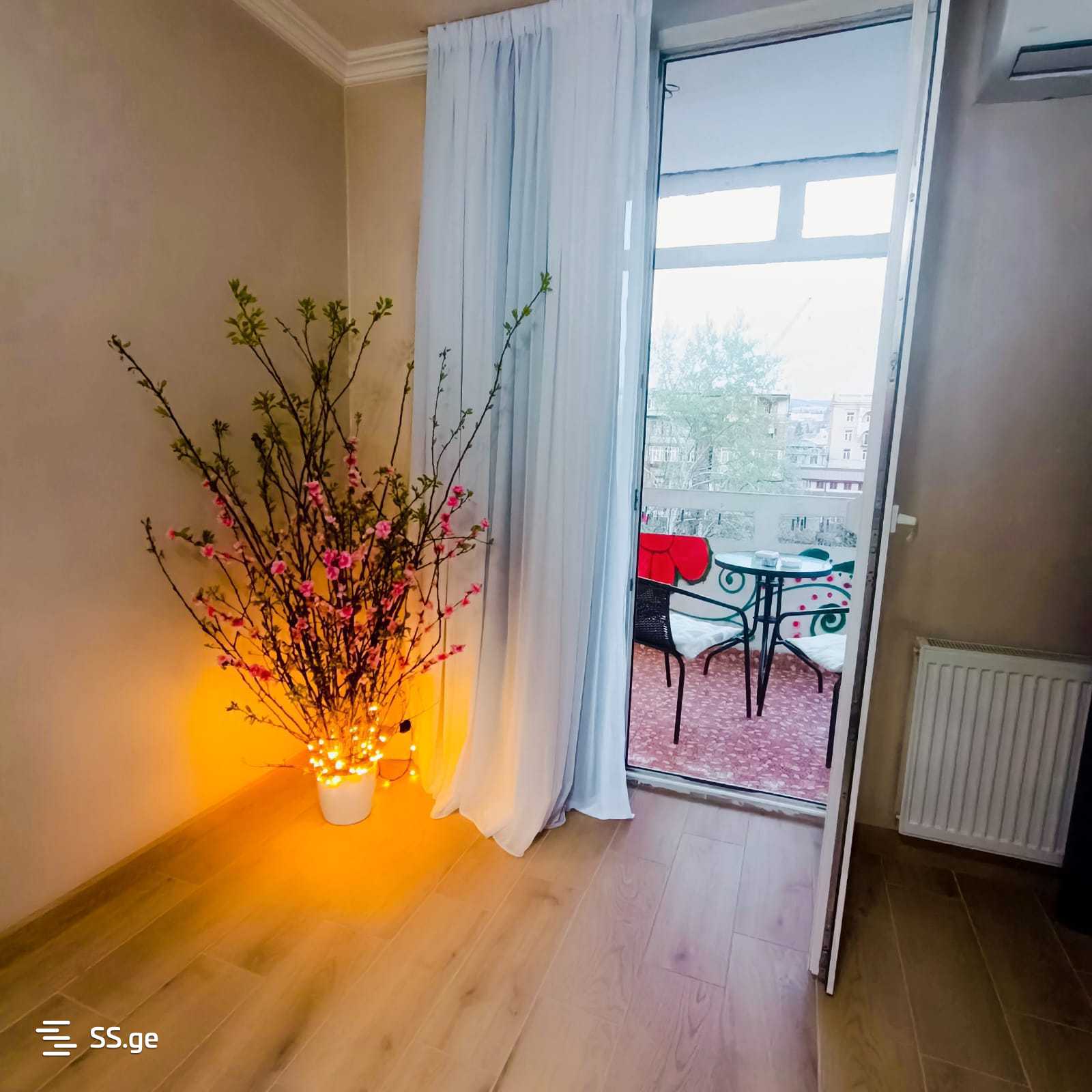2 Room Flat Daily Rent. Chugureti view 1